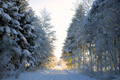 Winter in Jütland