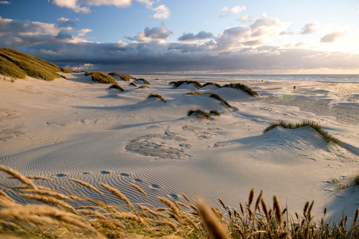 Die Dünen von Løkken